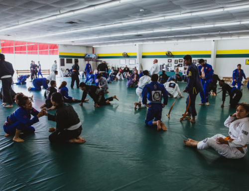 The new year and the incoming white belts